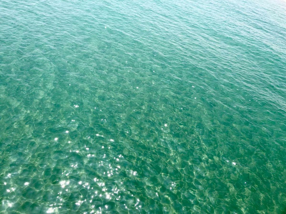 לאוקאט Barcaresa-Maisonnette Vue Mer Pieds Dans L'Eau Wifi מראה חיצוני תמונה